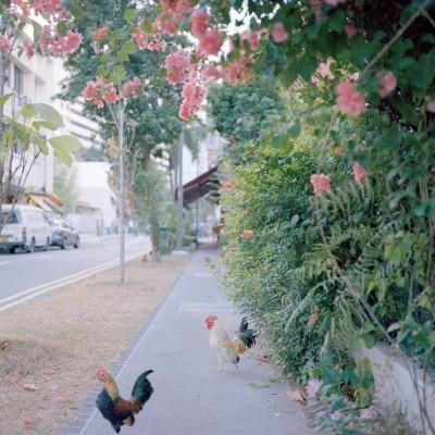 赏金女王免费安卓下载截图