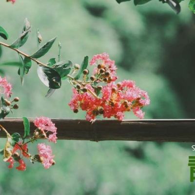 bat365官方网页版